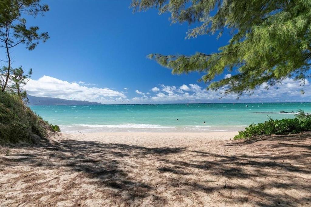 Unit 2 Maui Ohana Modern Studio Wailuku ภายนอก รูปภาพ